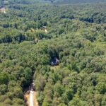 Aerial view of a forest with a hidden house and a dirt road labeled Sidestreet cutting through the dense greenery.