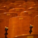 Rows of empty wooden auditorium seats with nameplates shining under warm lighting.